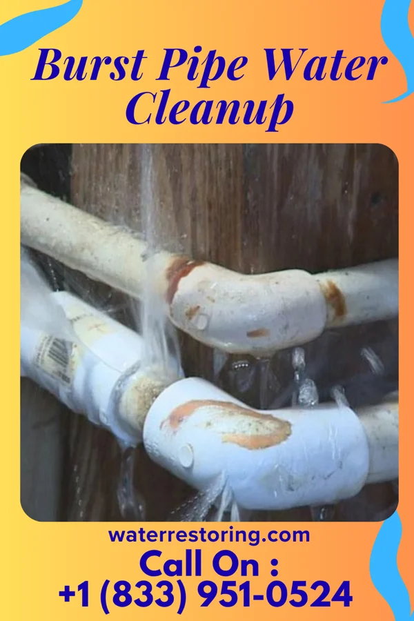 Burst Pipe Water Cleanup in Hoffman Estates, IL