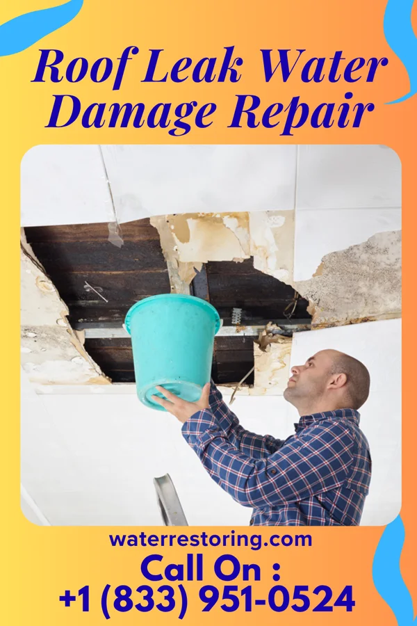 Roof Leak Water Damage Repair in Hoffman Estates, IL